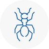 Ant Removals In Wath