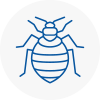 Bed Bug Extermination In Wath