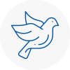 Bird Prevention Wath