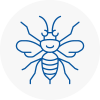 Wath Hornet Nest Removals