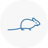 Mice Exterminators In Wath