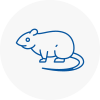 Rat Control Wath