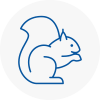 Wath Rodent Removals