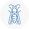 Wath Wasp Nest Removal